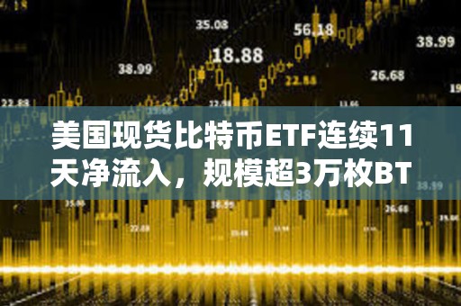 美国现货比特币ETF连续11天净流入，规模超3万枚BTC