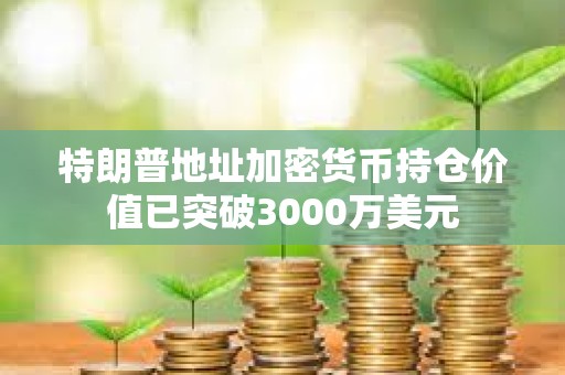 特朗普地址加密货币持仓价值已突破3000万美元