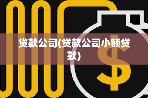 贷款公司(贷款公司小额贷款)