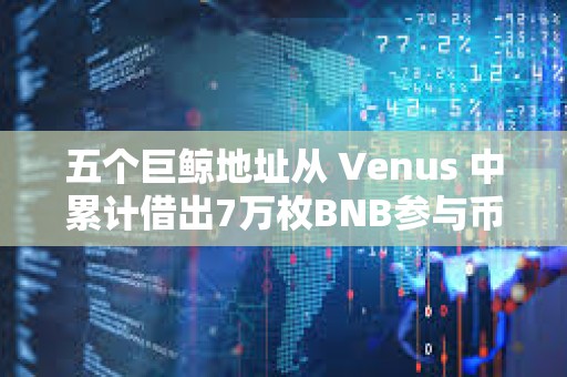 五个巨鲸地址从 Venus 中累计借出7万枚BNB参与币安新币挖矿