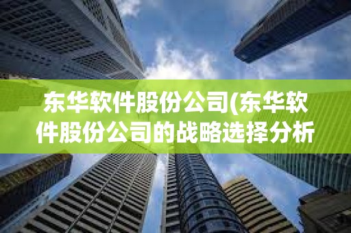 东华软件股份公司(东华软件股份公司的战略选择分析)