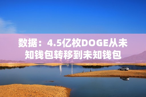 数据：4.5亿枚DOGE从未知钱包转移到未知钱包