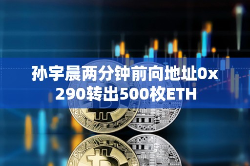 孙宇晨两分钟前向地址0x290转出500枚ETH