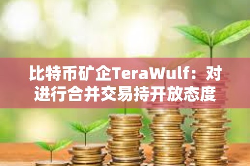 比特币矿企TeraWulf：对进行合并交易持开放态度