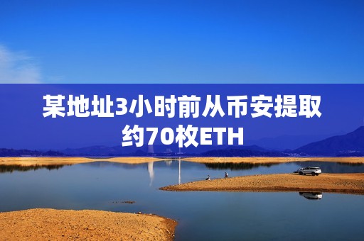 某地址3小时前从币安提取约70枚ETH