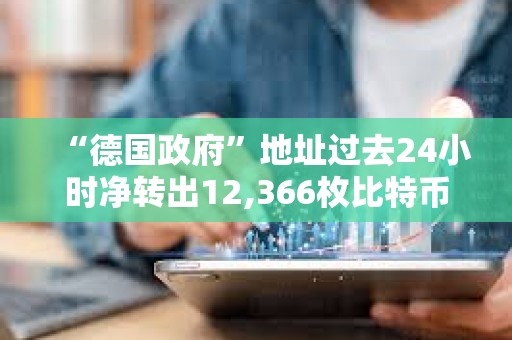 “德国政府”地址过去24小时净转出12,366枚比特币