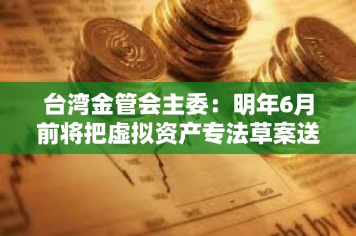 台湾金管会主委：明年6月前将把虚拟资产专法草案送行政院