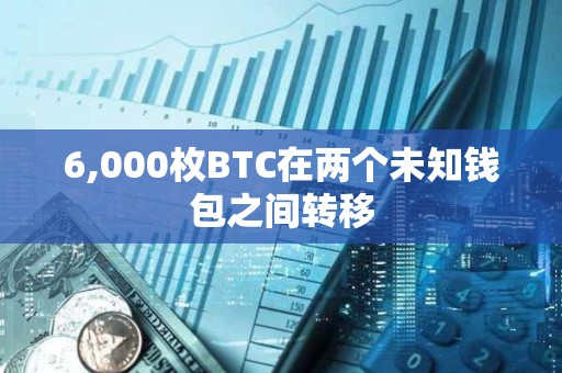 6,000枚BTC在两个未知钱包之间转移