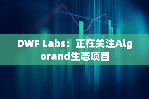 DWF Labs：正在关注Algorand生态项目