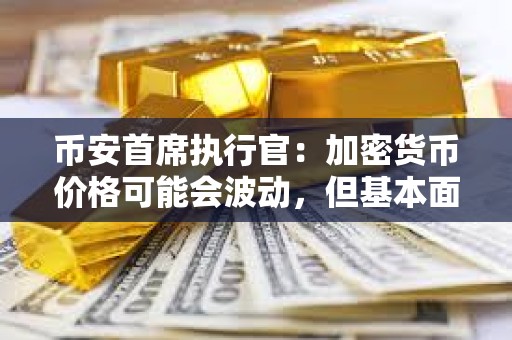 币安首席执行官：加密货币价格可能会波动，但基本面强劲