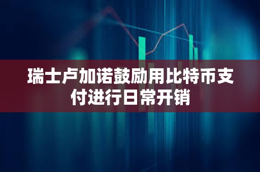 瑞士卢加诺鼓励用比特币支付进行日常开销