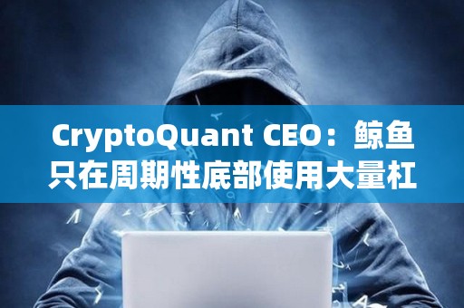 CryptoQuant CEO：鲸鱼只在周期性底部使用大量杠杆，当前市场并未过度杠杆化