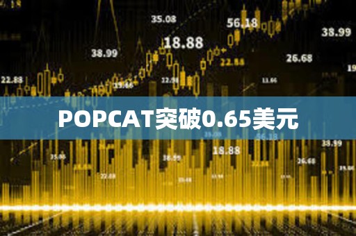 POPCAT突破0.65美元