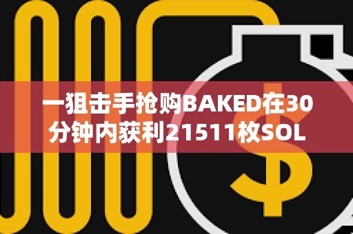 一狙击手抢购BAKED在30分钟内获利21511枚SOL