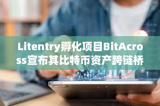 Litentry孵化项目BitAcross宣布其比特币资产跨链桥上线测试网