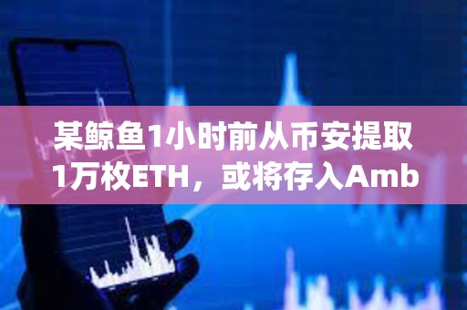 某鲸鱼1小时前从币安提取1万枚ETH，或将存入Amber Group