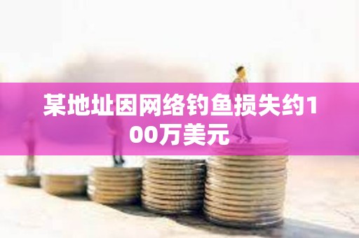 某地址因网络钓鱼损失约100万美元