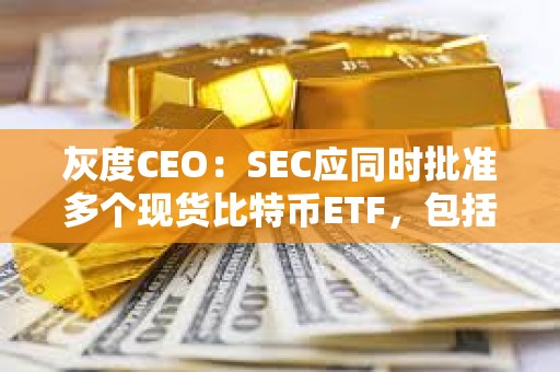 灰度CEO：SEC应同时批准多个现货比特币ETF，包括批准GBTC转换