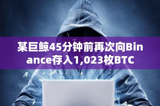 某巨鲸45分钟前再次向Binance存入1,023枚BTC