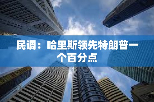 民调：哈里斯领先特朗普一个百分点