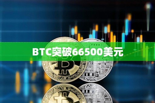 BTC突破66500美元