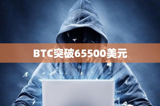 BTC突破65500美元