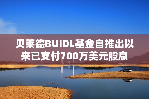 贝莱德BUIDL基金自推出以来已支付700万美元股息