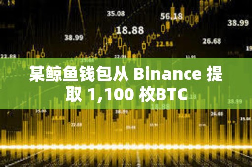 某鲸鱼钱包从 Binance 提取 1,100 枚BTC