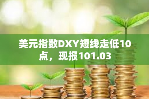 美元指数DXY短线走低10点，现报101.03