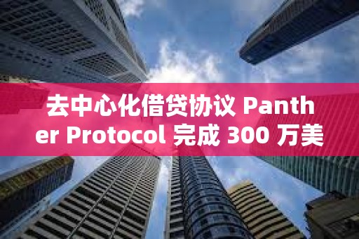 去中心化借贷协议 Panther Protocol 完成 300 万美元种子轮融资