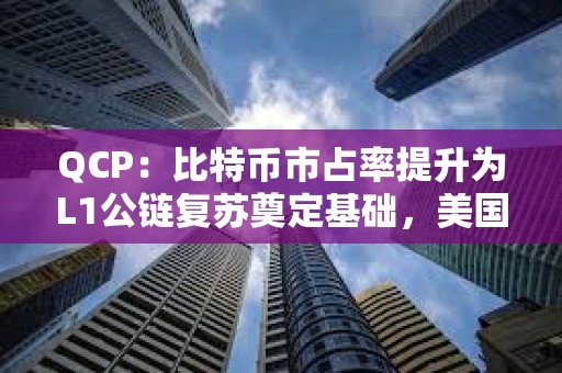 QCP：比特币市占率提升为L1公链复苏奠定基础，美国大选促使风险偏好情绪进一步增强