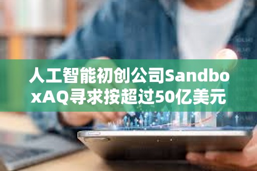 人工智能初创公司SandboxAQ寻求按超过50亿美元估值进行融资