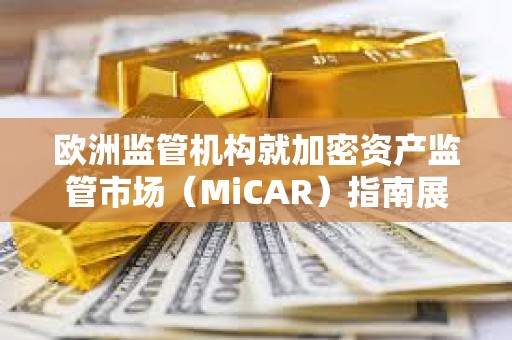 欧洲监管机构就加密资产监管市场（MiCAR）指南展开磋商