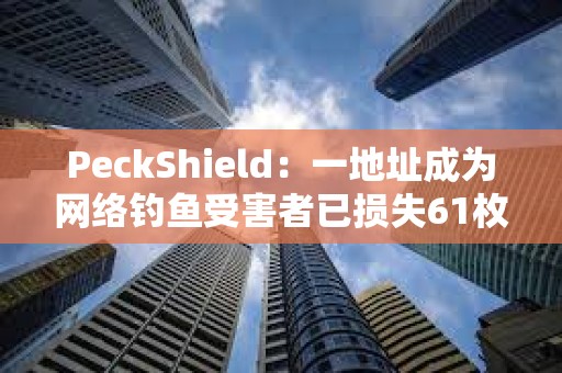 PeckShield：一地址成为网络钓鱼受害者已损失61枚WETH