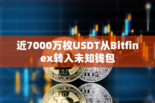 近7000万枚USDT从Bitfinex转入未知钱包