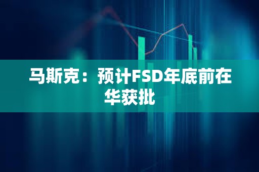 马斯克：预计FSD年底前在华获批