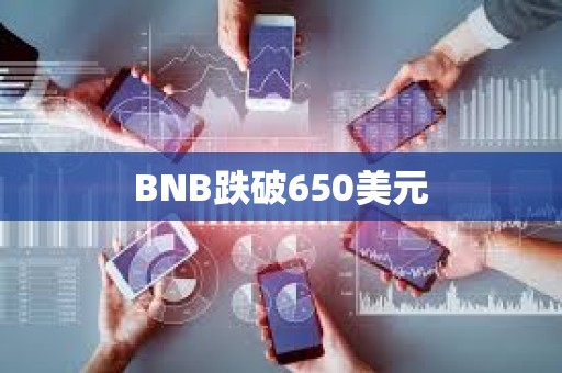 BNB跌破650美元