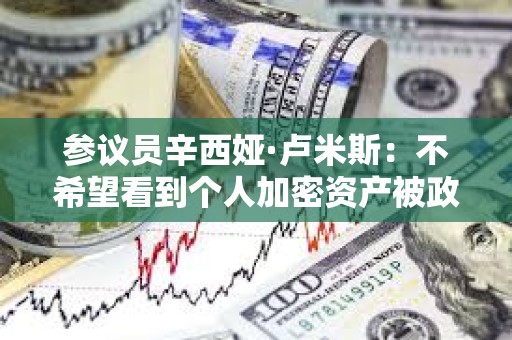 参议员辛西娅·卢米斯：不希望看到个人加密资产被政府控制