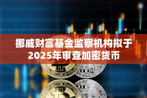 挪威财富基金监察机构拟于2025年审查加密货币