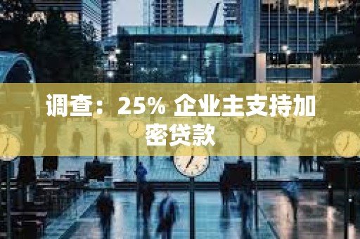 调查：25% 企业主支持加密贷款