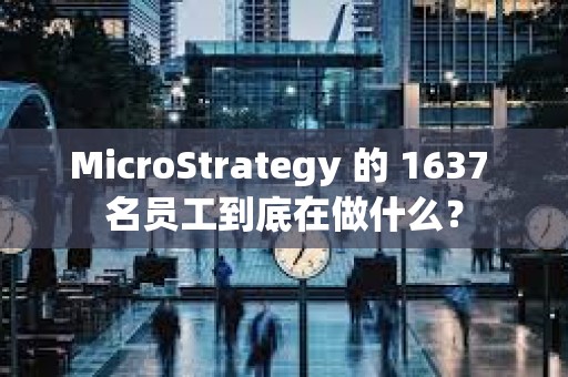 MicroStrategy 的 1637 名员工到底在做什么？