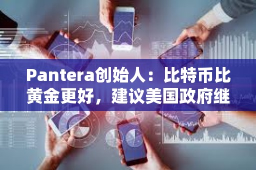 Pantera创始人：比特币比黄金更好，建议美国政府继续增持