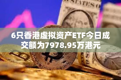 6只香港虚拟资产ETF今日成交额为7978.95万港元