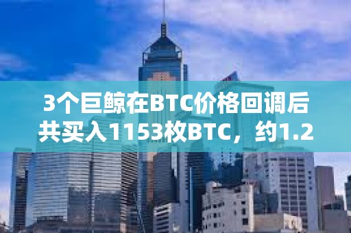 3个巨鲸在BTC价格回调后共买入1153枚BTC，约1.2亿美元