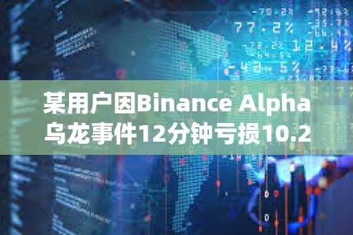 某用户因Binance Alpha乌龙事件12分钟亏损10.2万美元