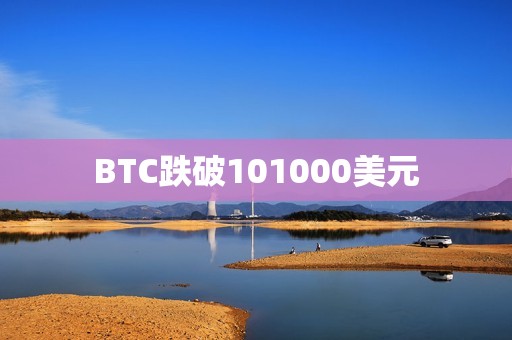 BTC跌破101000美元