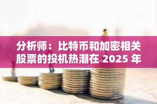 分析师：比特币和加密相关股票的投机热潮在 2025 年不太可能消退