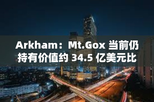 Arkham：Mt.Gox 当前仍持有价值约 34.5 亿美元比特币