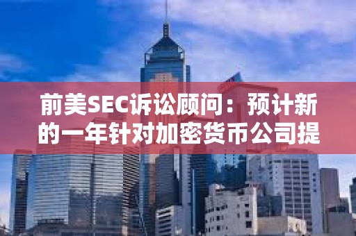 前美SEC诉讼顾问：预计新的一年针对加密货币公司提起的案件将会减少