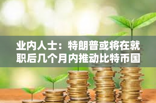 业内人士：特朗普或将在就职后几个月内推动比特币国家储备